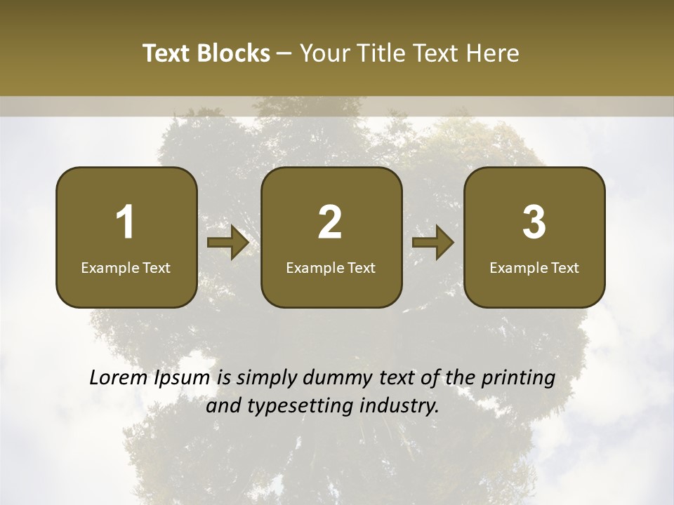 Round Park PowerPoint Template