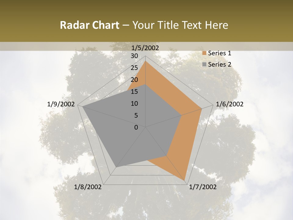 Round Park PowerPoint Template