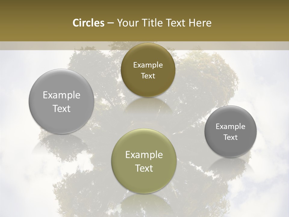 Round Park PowerPoint Template