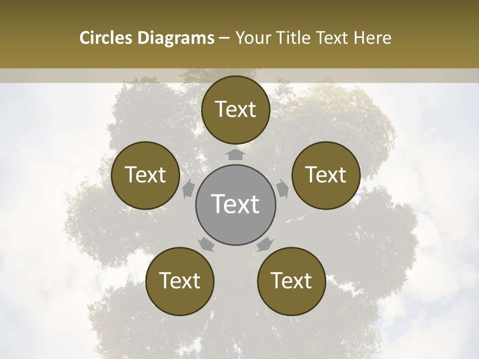 Round Park PowerPoint Template