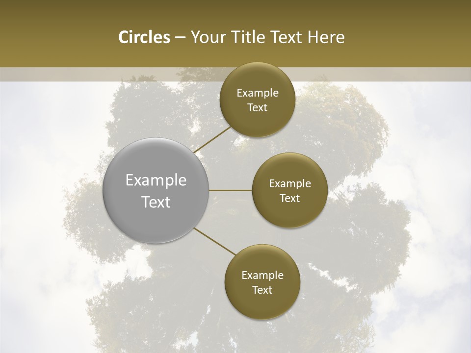 Round Park PowerPoint Template