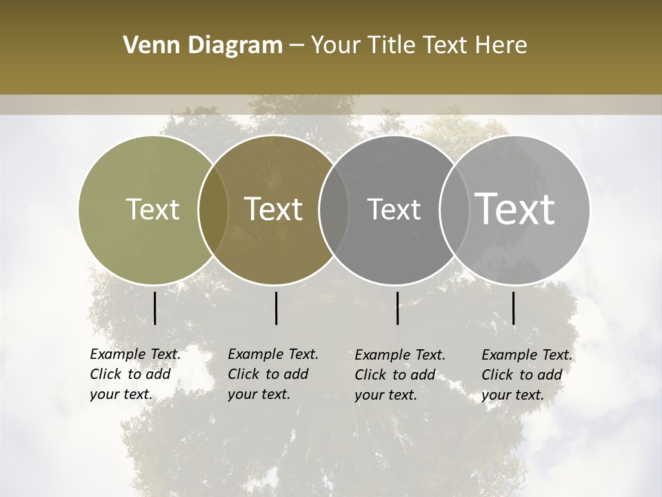Round Park PowerPoint Template