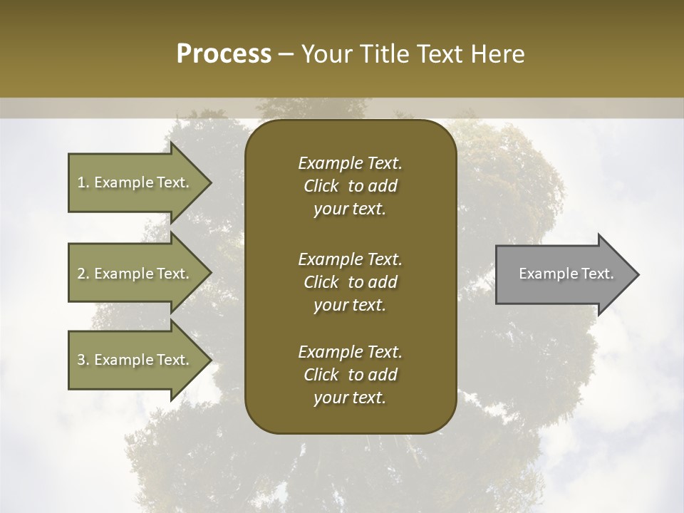 Round Park PowerPoint Template