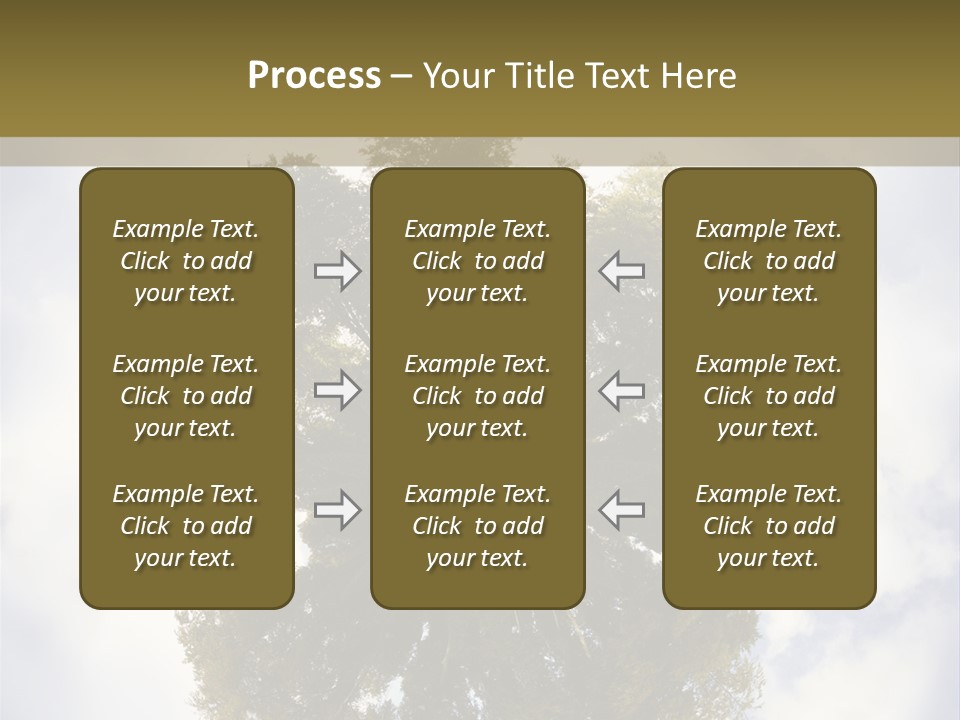 Round Park PowerPoint Template