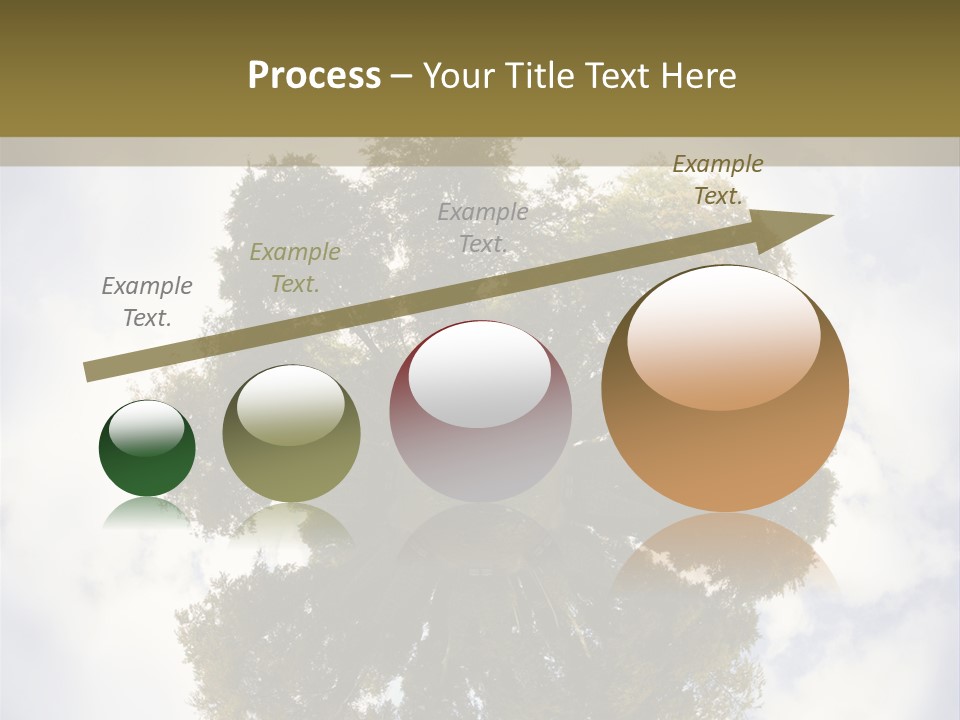 Round Park PowerPoint Template