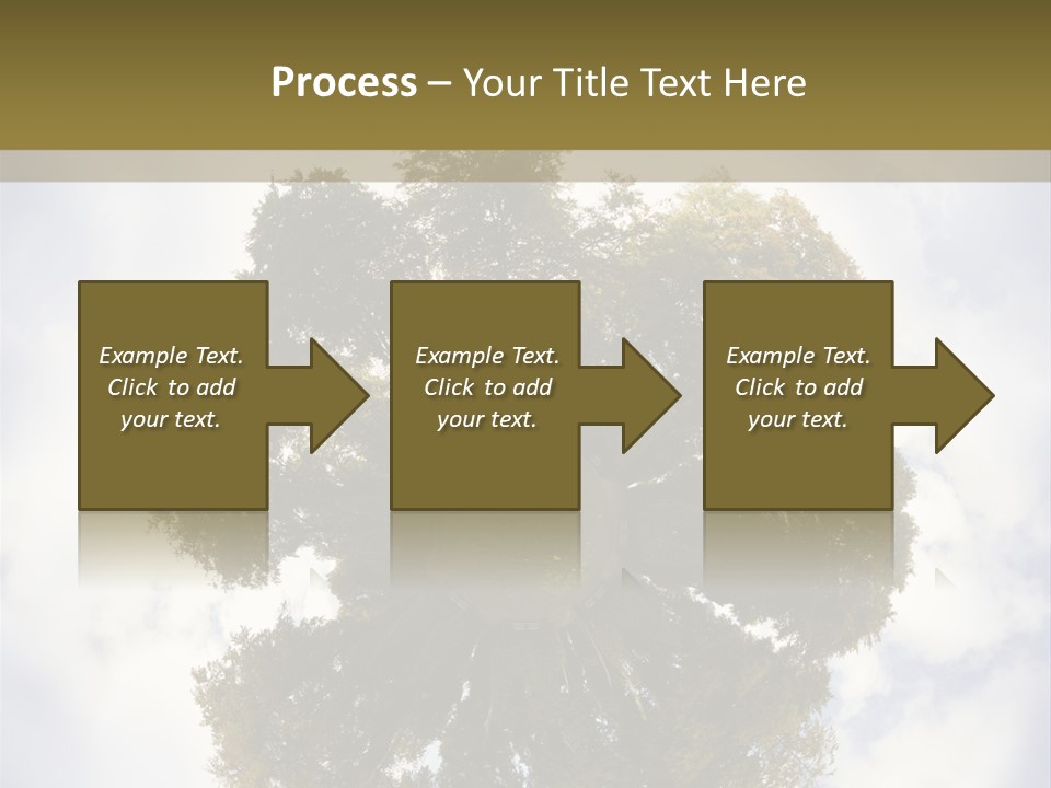 Round Park PowerPoint Template