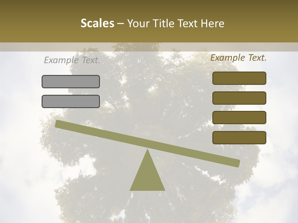 Round Park PowerPoint Template