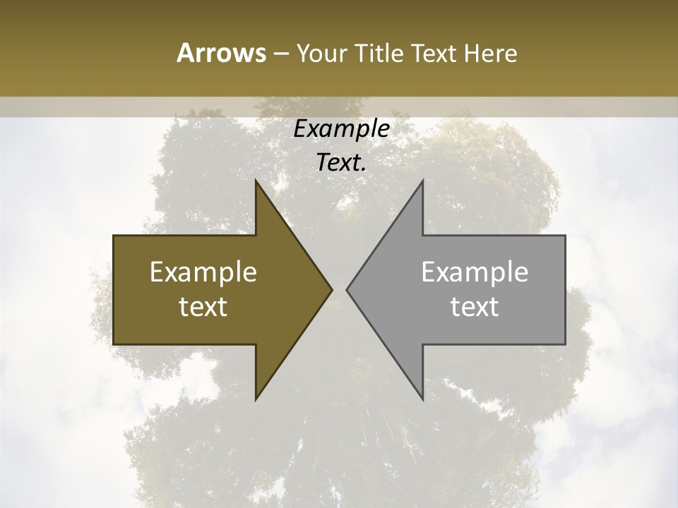 Round Park PowerPoint Template