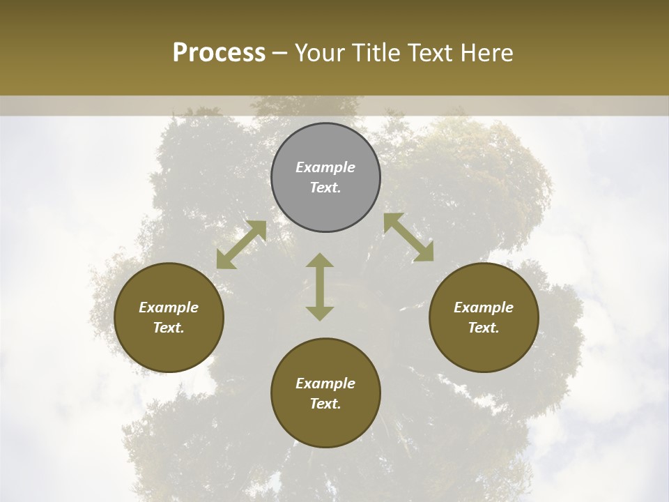 Round Park PowerPoint Template