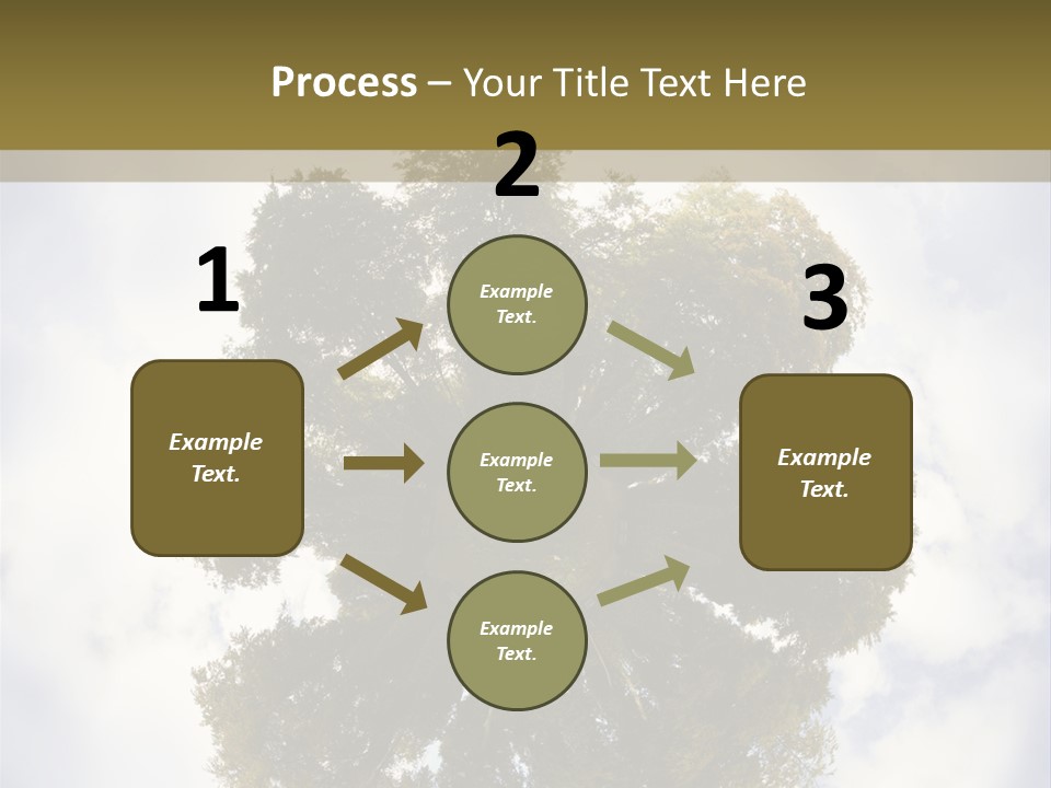 Round Park PowerPoint Template