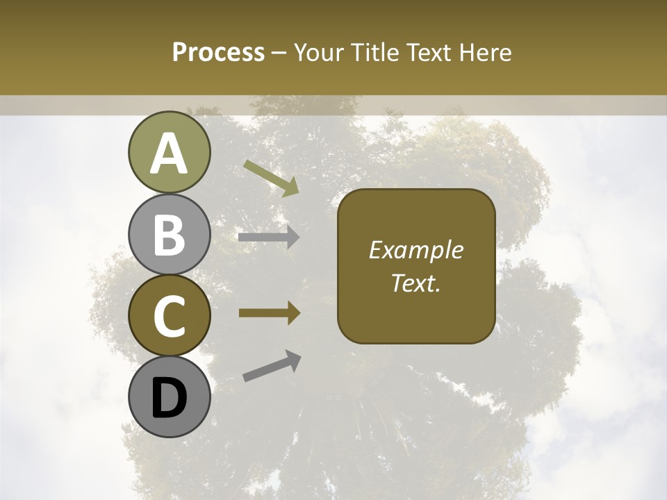 Round Park PowerPoint Template
