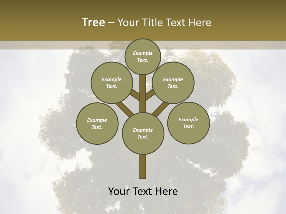 Round Park PowerPoint Template