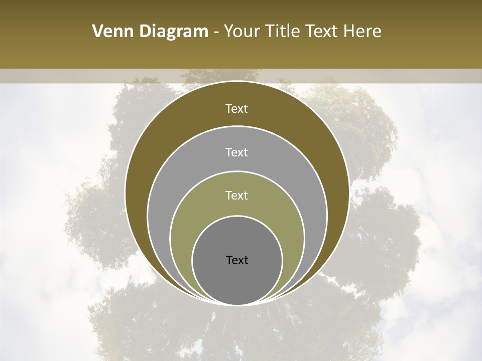 Round Park PowerPoint Template