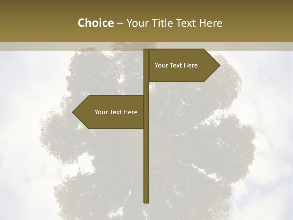 Round Park PowerPoint Template