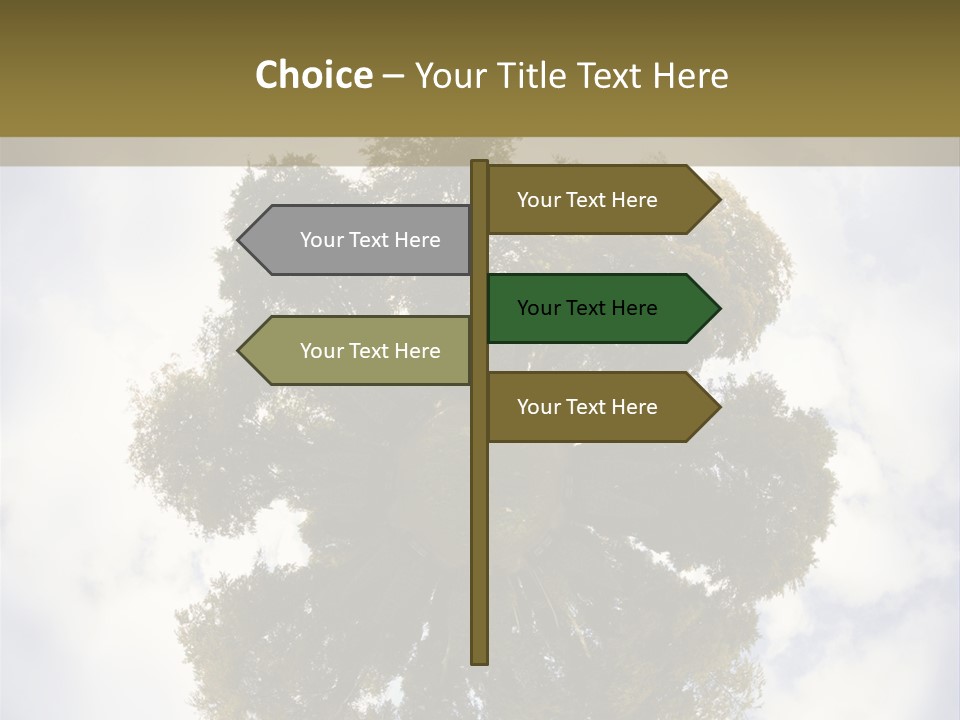 Round Park PowerPoint Template