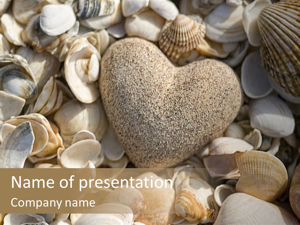 Sea Shell Heart PowerPoint Template