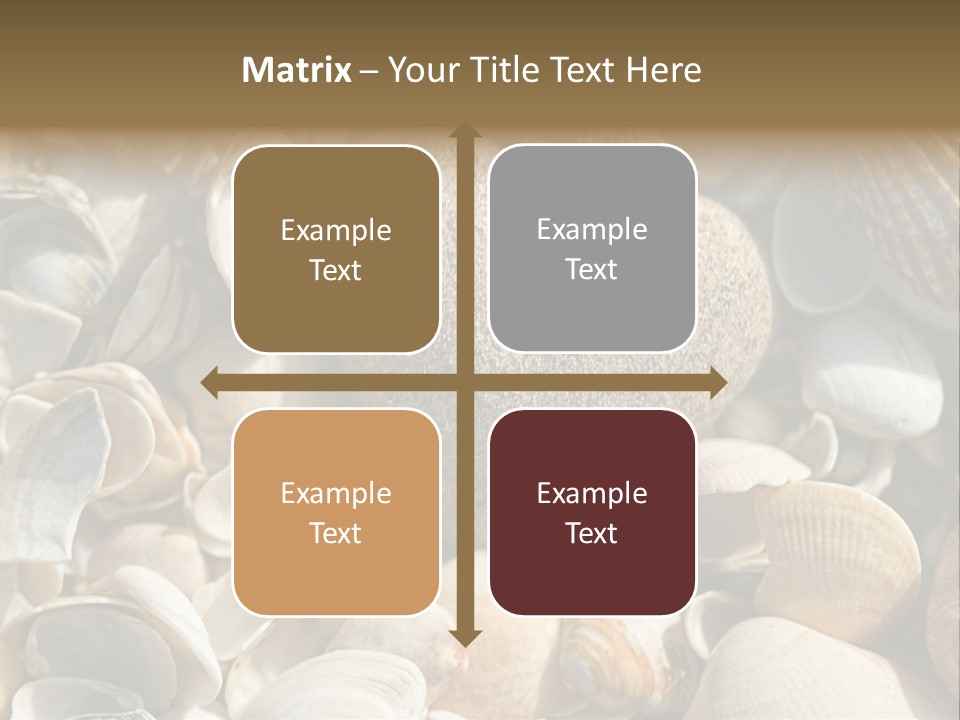 Sea Shell Heart PowerPoint Template