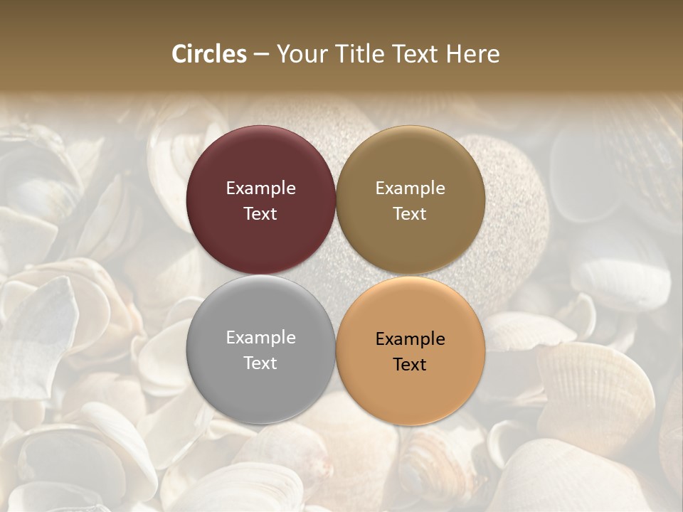 Sea Shell Heart PowerPoint Template