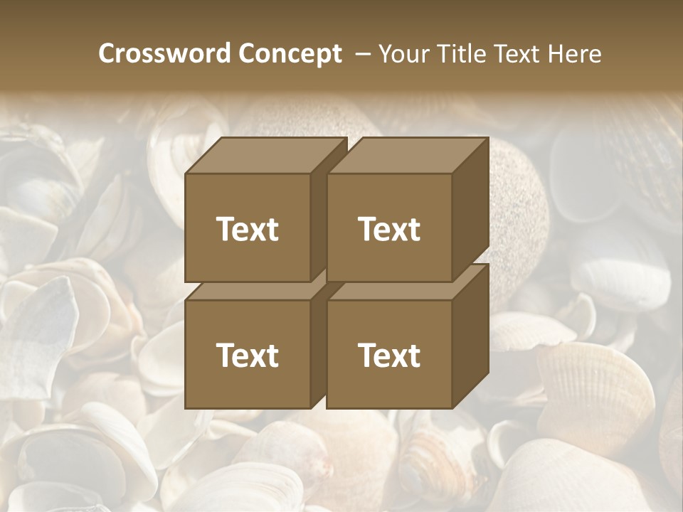 Sea Shell Heart PowerPoint Template