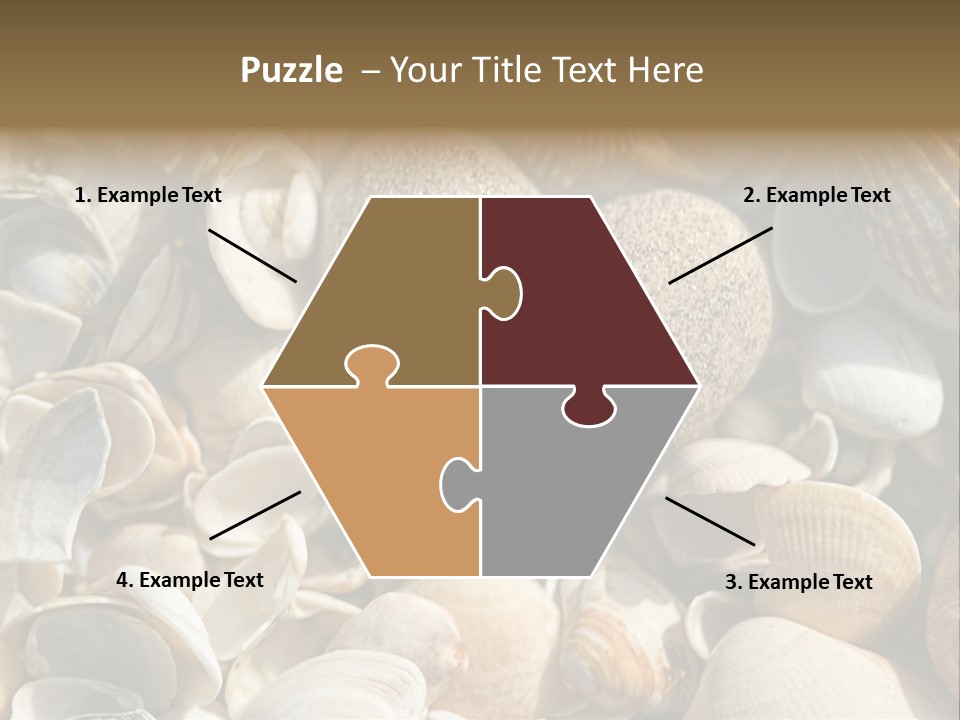 Sea Shell Heart PowerPoint Template