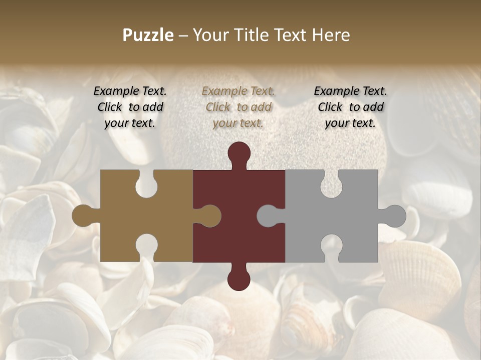 Sea Shell Heart PowerPoint Template