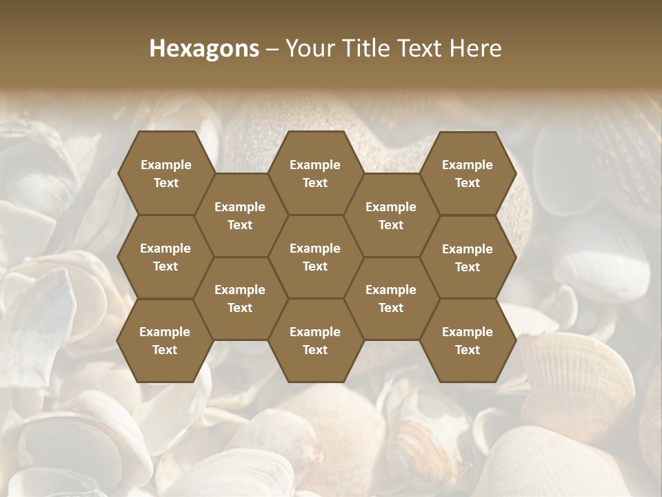 Sea Shell Heart PowerPoint Template