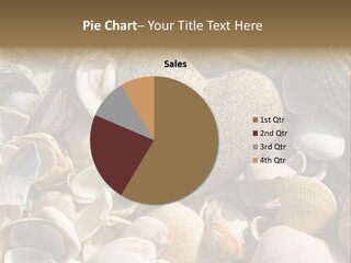 Sea Shell Heart PowerPoint Template