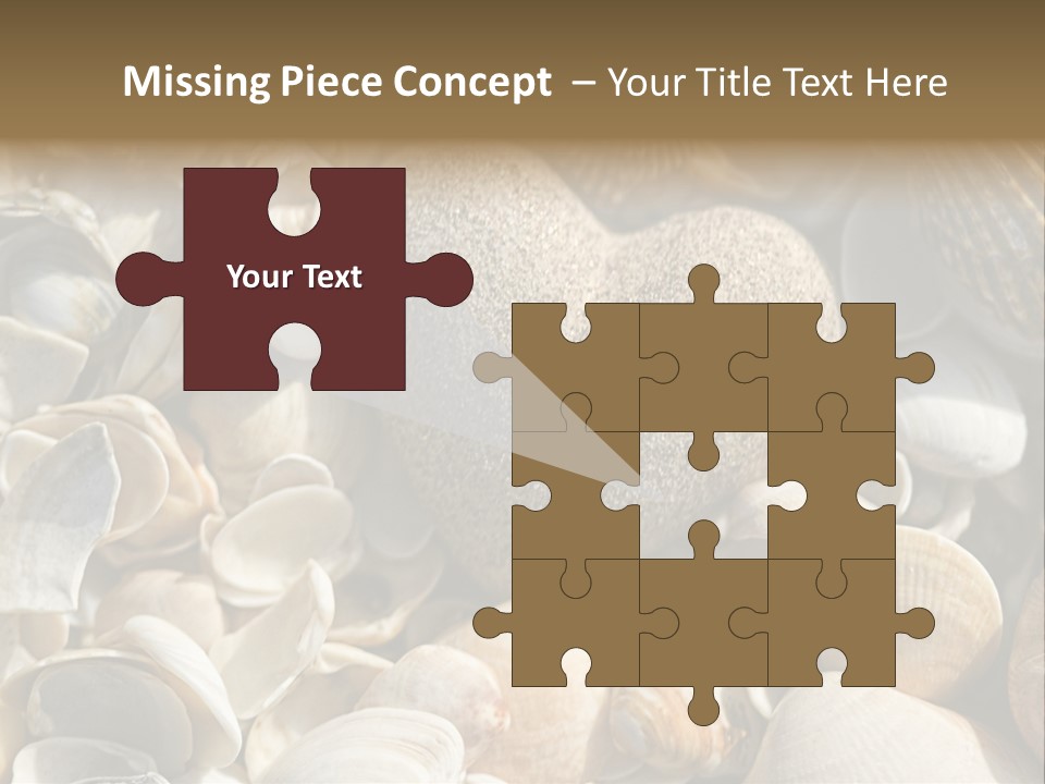 Sea Shell Heart PowerPoint Template