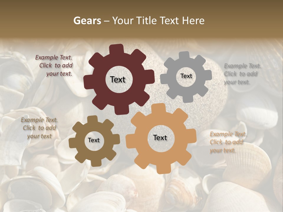 Sea Shell Heart PowerPoint Template