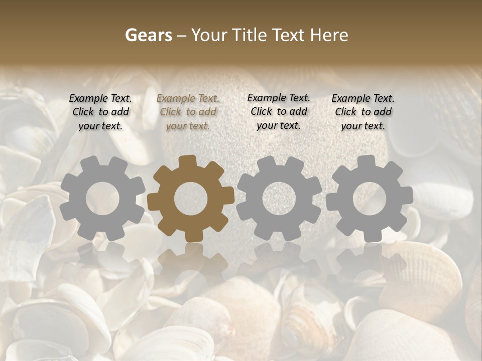 Sea Shell Heart PowerPoint Template