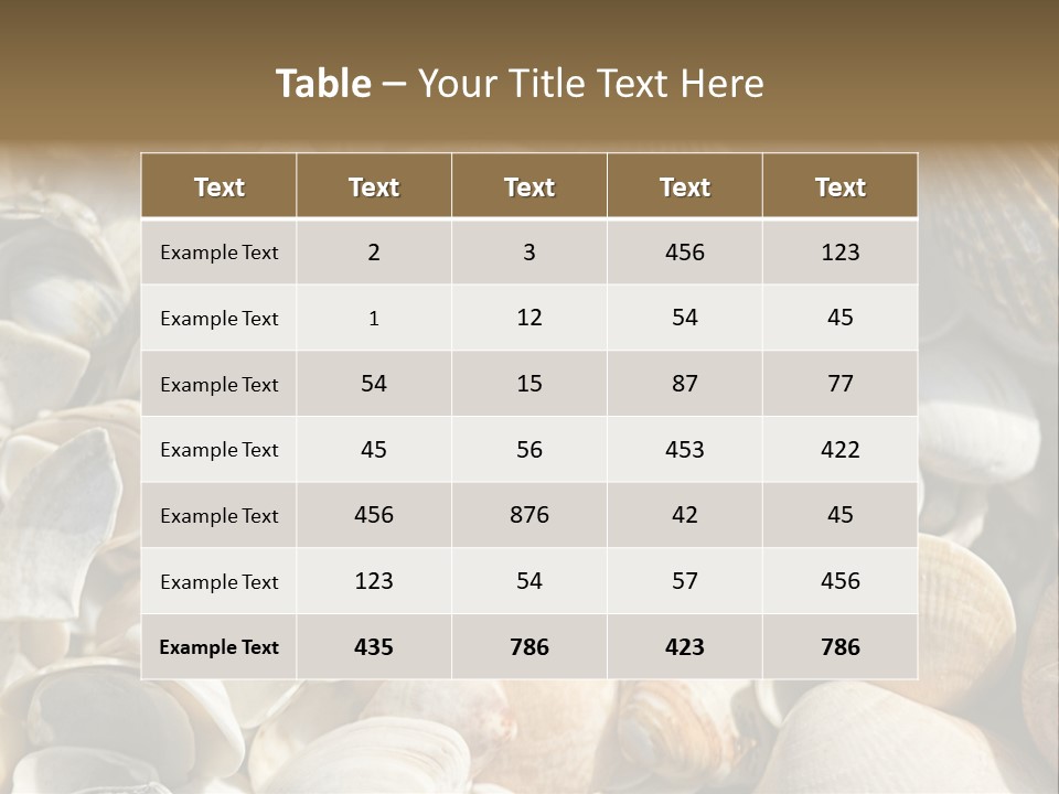 Sea Shell Heart PowerPoint Template
