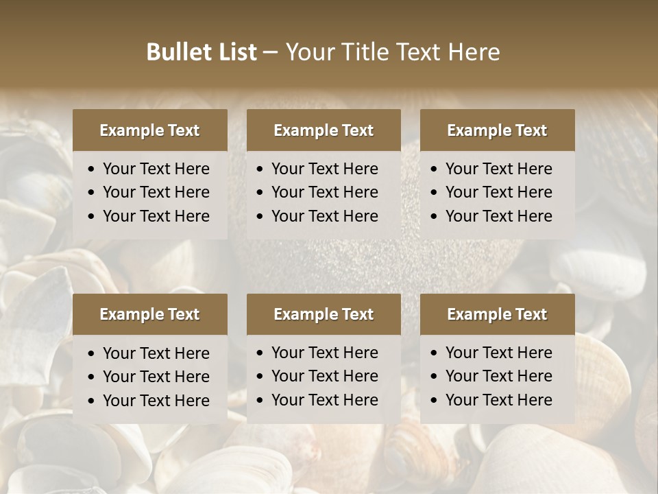 Sea Shell Heart PowerPoint Template