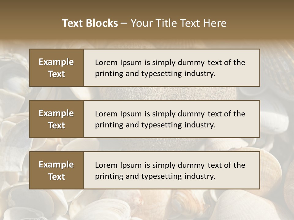 Sea Shell Heart PowerPoint Template