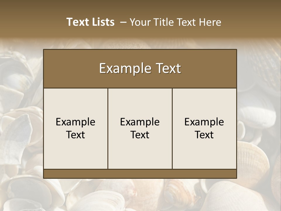 Sea Shell Heart PowerPoint Template
