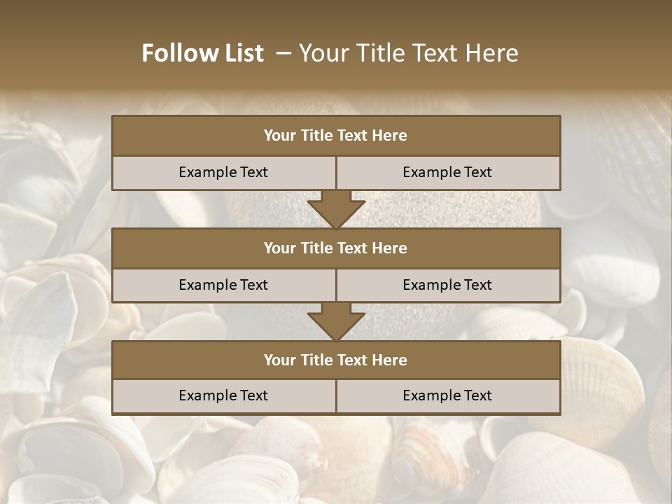 Sea Shell Heart PowerPoint Template