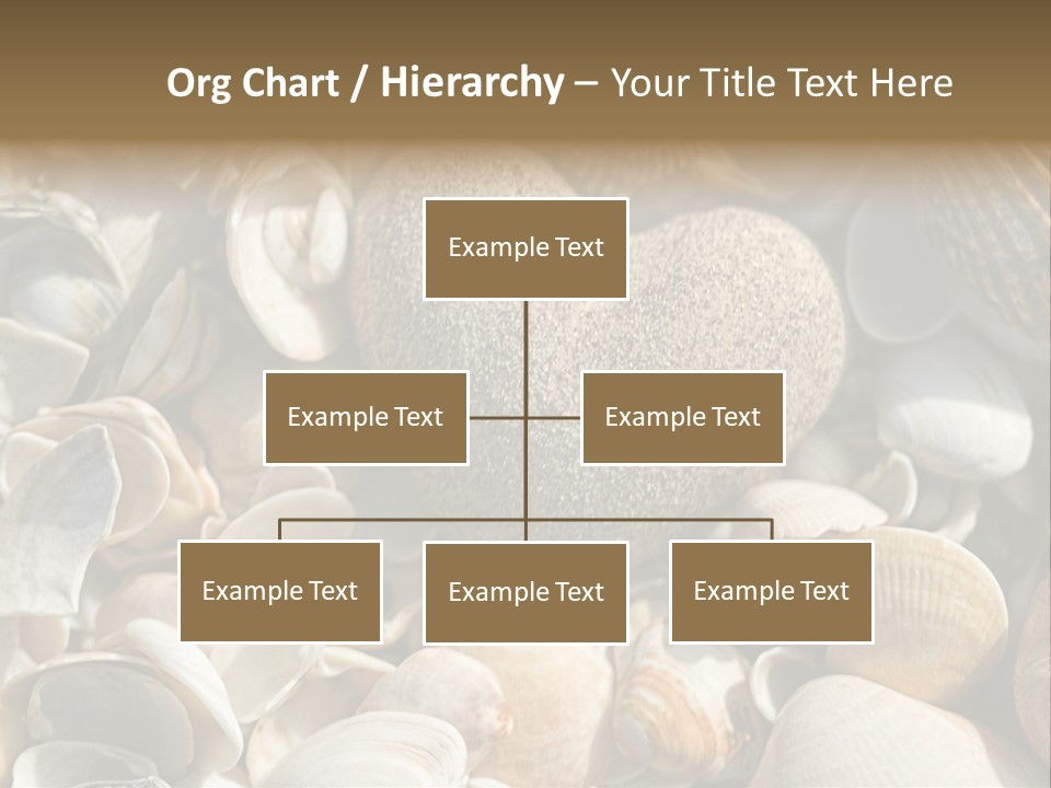 Sea Shell Heart PowerPoint Template