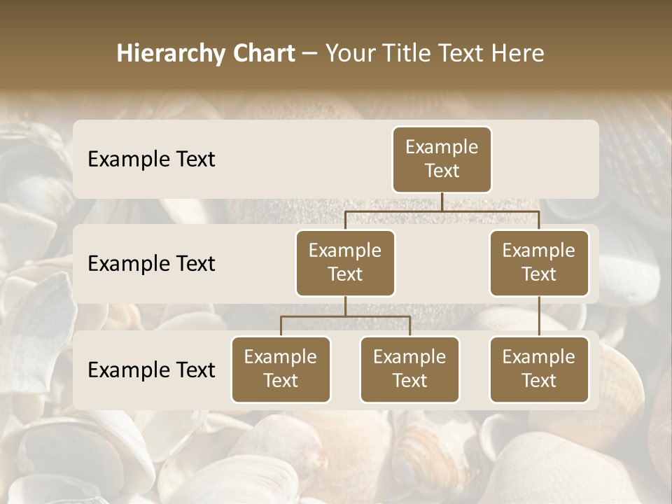 Sea Shell Heart PowerPoint Template