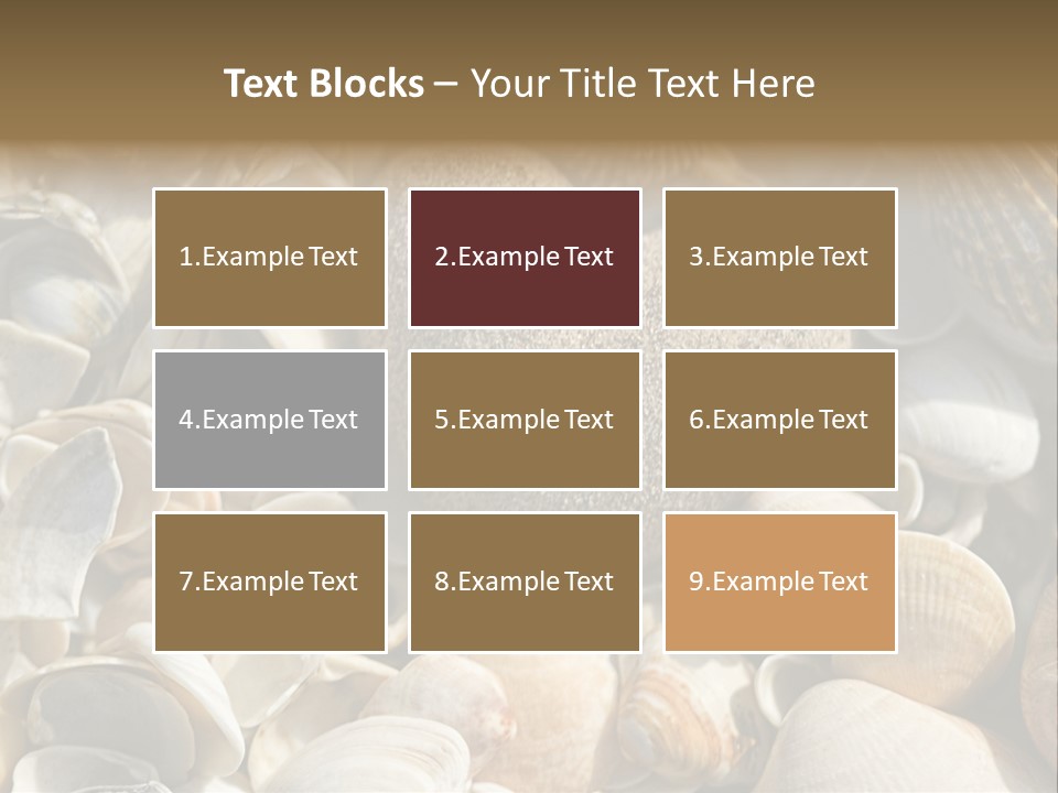 Sea Shell Heart PowerPoint Template