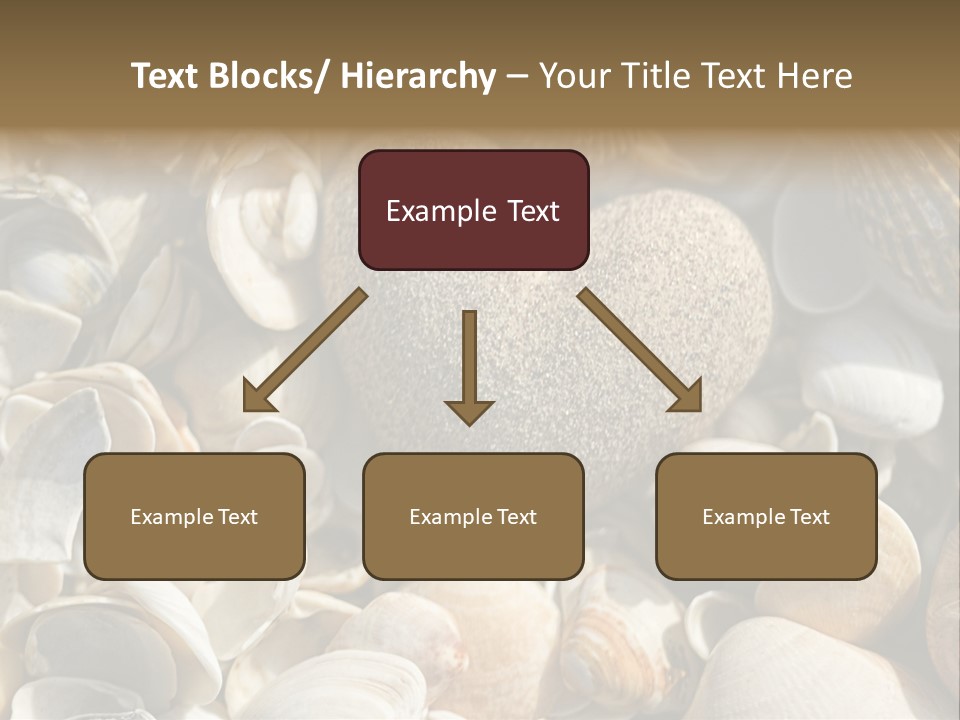 Sea Shell Heart PowerPoint Template