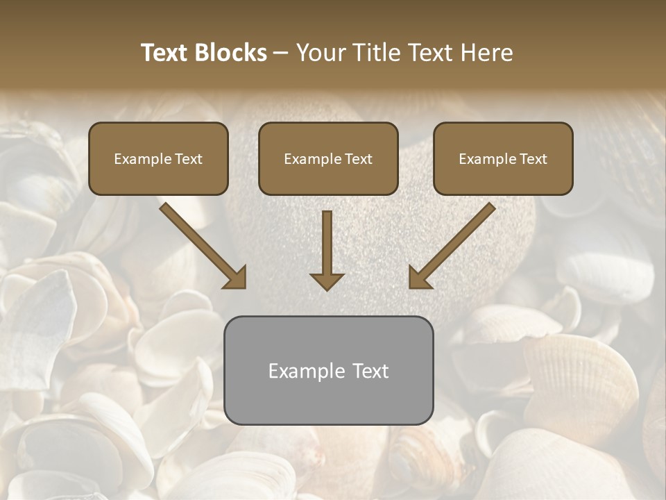 Sea Shell Heart PowerPoint Template