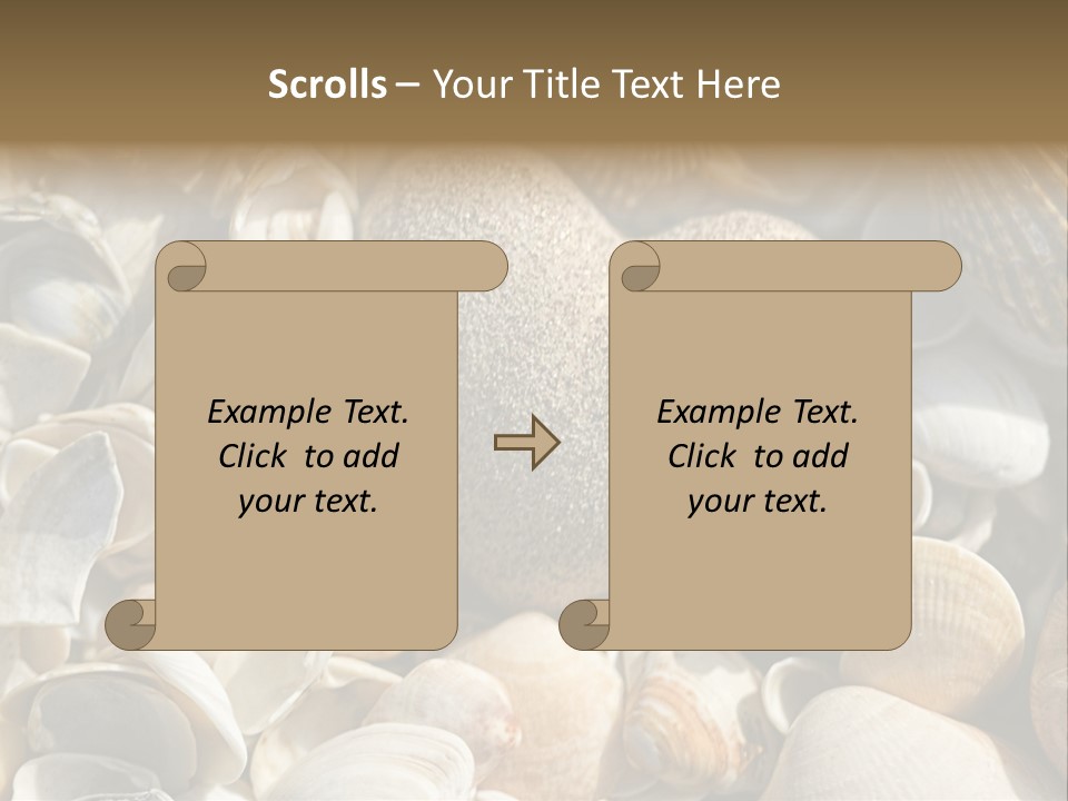 Sea Shell Heart PowerPoint Template