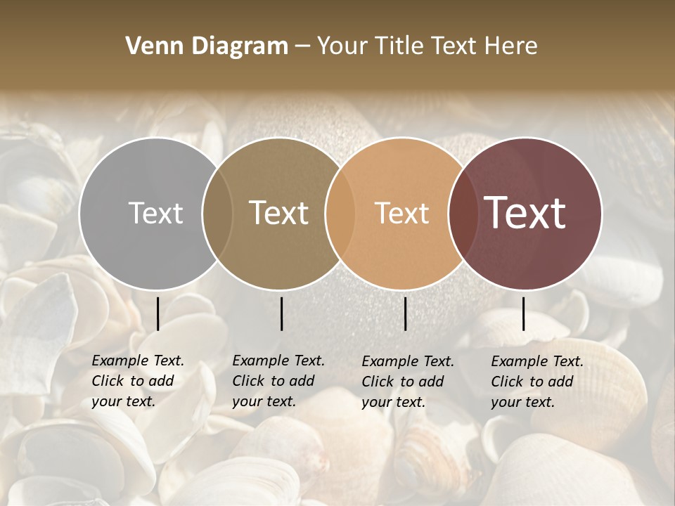 Sea Shell Heart PowerPoint Template