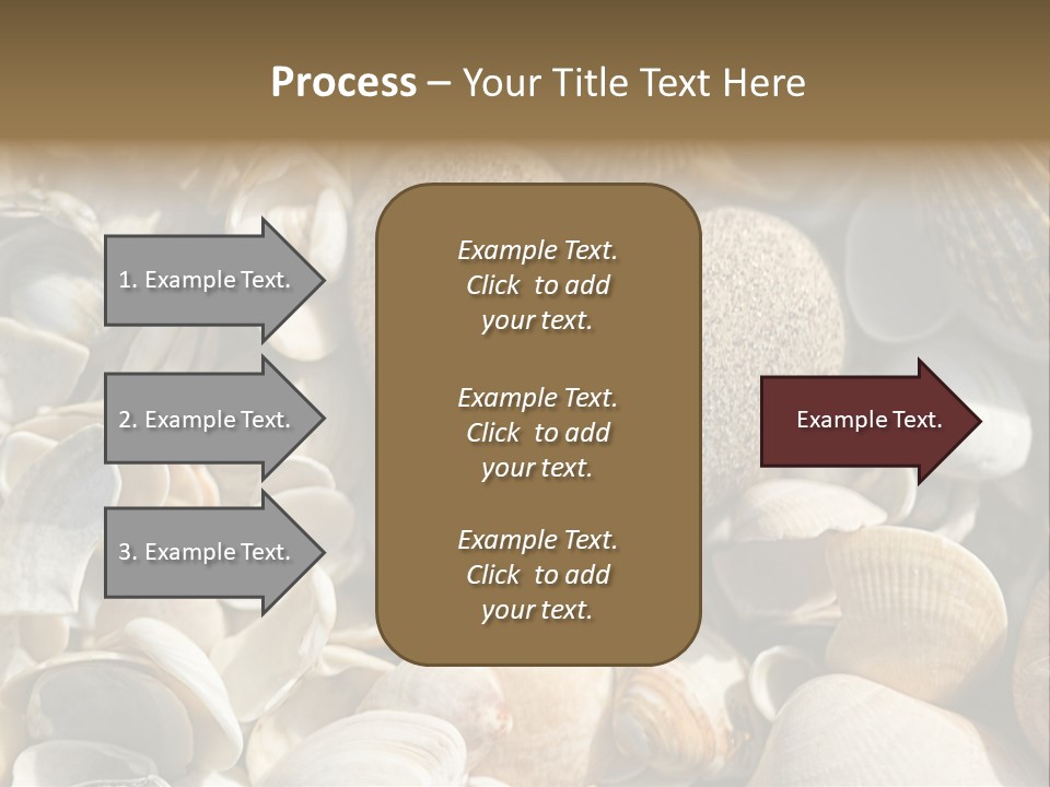Sea Shell Heart PowerPoint Template