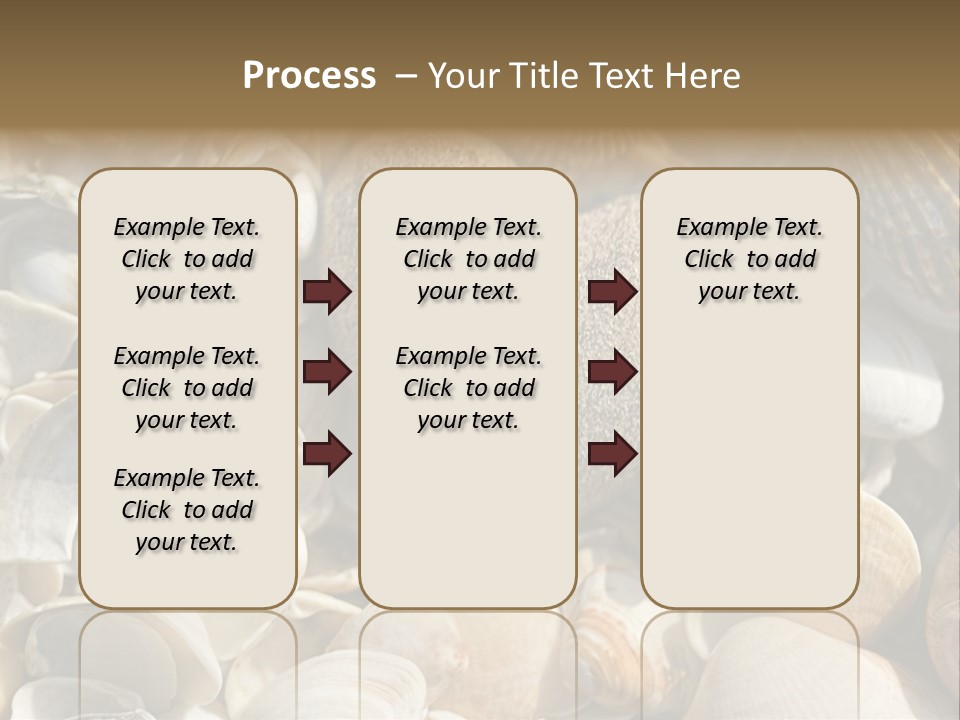 Sea Shell Heart PowerPoint Template