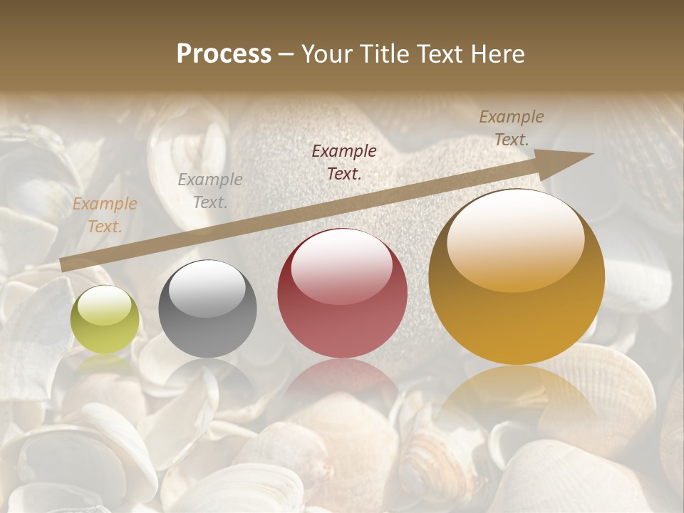 Sea Shell Heart PowerPoint Template