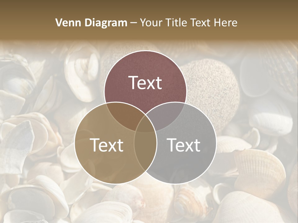 Sea Shell Heart PowerPoint Template