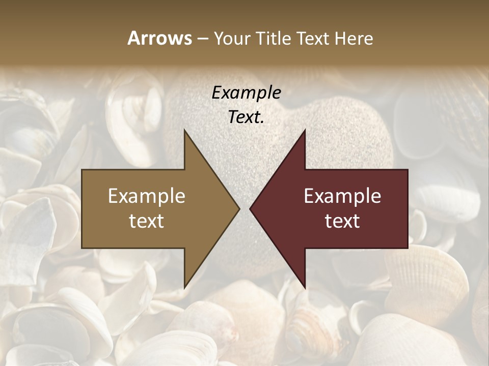 Sea Shell Heart PowerPoint Template