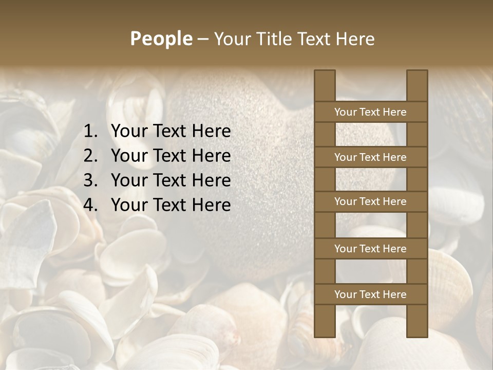Sea Shell Heart PowerPoint Template