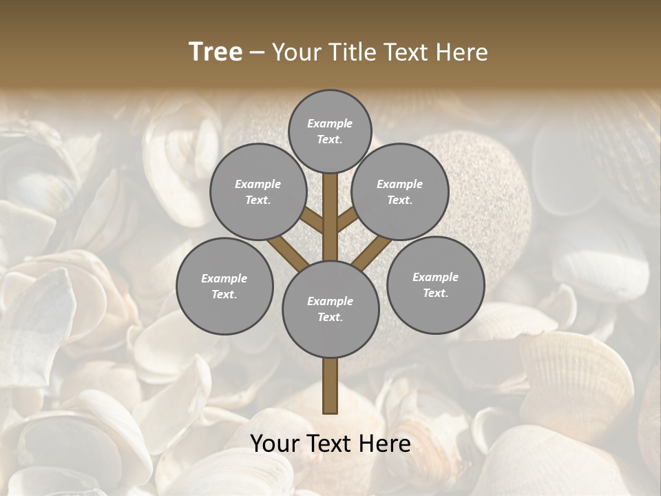 Sea Shell Heart PowerPoint Template