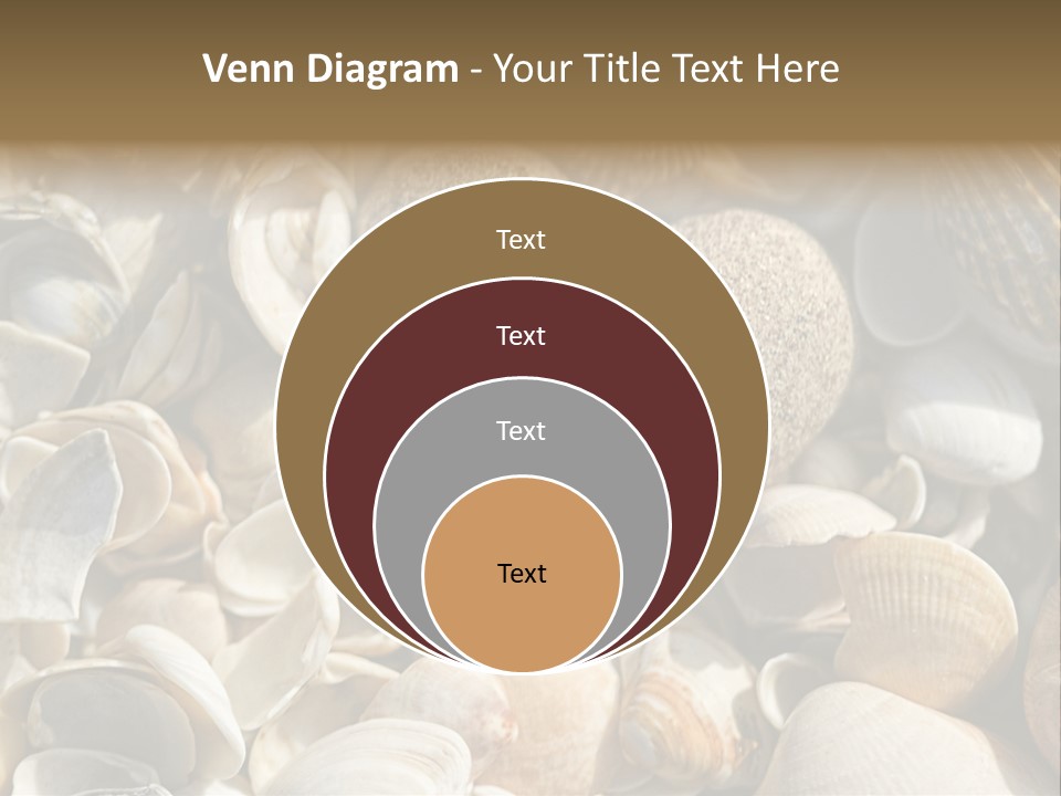 Sea Shell Heart PowerPoint Template